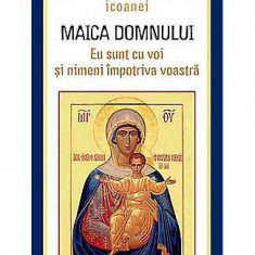 Minunile icoanei Maica Domnului - Paperback brosat - *** - Sophia