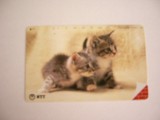 B11 23 - Carduri si cartele telefonice - Japonia - Pisici - piesa de colectie