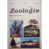 Zoologie - Manual pentru clasa a VIa