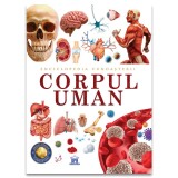Enciclopedia Cunoasterii. Corpul Uman, - Editura DPH