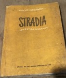 LITR4 Starda - Rodoje Domanovici