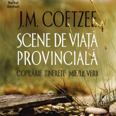 Scene de viaţă provincială - Paperback brosat - J.M. Coetzee - Humanitas Fiction
