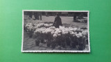 Bucuresti Bukarest Vanzatoare de flori, Circulata, Printata