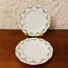 2 FARFURII DIN PORTELAN FIN- MARCAJ CLASSIC ROSE COLLECTION ROSENTHAL GROUP