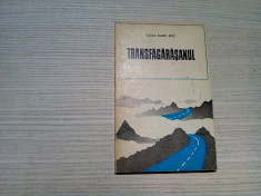 TRANSFAGARASANUL - Eugen Boc - Editura Militara, 1975, 156 p. foto