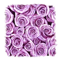 Sticker decorativ Trandafiri, Mov, 55 cm, 11570ST foto