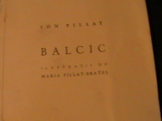 BALCIC- ION PILAT- ILUSTRATII DE MARIA PILAT BRATES- foto