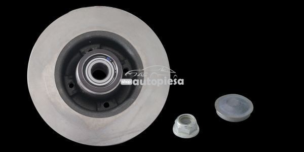 Disc frana RENAULT TWINGO II (CN0) (2007 - 2014) RINGER 0950004247