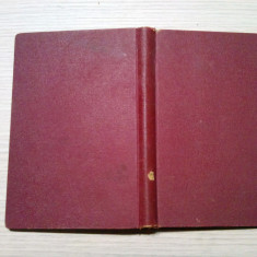 DOUA DURERI - Roman - N. Radulescu-Niger - 1926, 239 p.; editia II -a