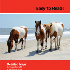Rand McNally Easy to Read: Delaware, Maryland State Map