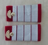 M3 C5 - Grade militare - post 89 - plutonier adjutant principal infanterie 3