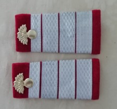 C2 3 - Grade militare - plutonier adjutant principal infanterie de colectie!