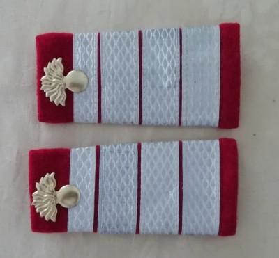 C2 3 - Grade militare - plutonier adjutant principal infanterie de colectie! foto