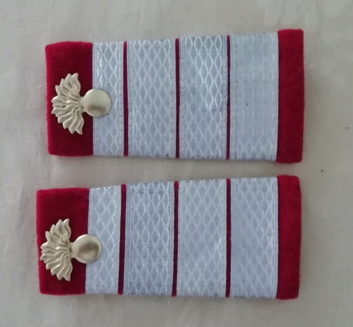 C2 3 - Grade militare - plutonier adjutant principal infanterie de colectie!