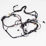 Cablaj Usa Stanga Spate Tesla Model X 2016, Piesa Originala 10018648