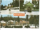 Carte postala-BORSEC-Vile, Necirculata, Printata