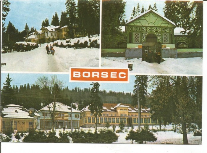 carte postala-BORSEC-Vile