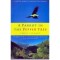 Chris Stewart - A parrot in the pepper tree - 110709
