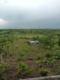 Vand teren 1600 mp Galati, Teren extravilan