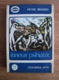 Petre Branzei - Itinerar psihiatric
