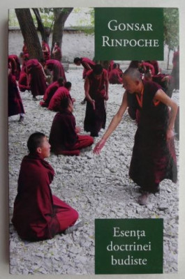 Esenta doctrinei budiste - Gonsar Rinpoche foto
