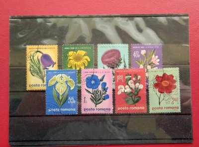 1970 - FLORI DE STEPA foto