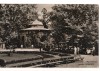 CPIB 15722 CARTE POSTALA - BUZIAS. PAVILIONUL APELOR MINERALE, RPR, Circulata, Fotografie
