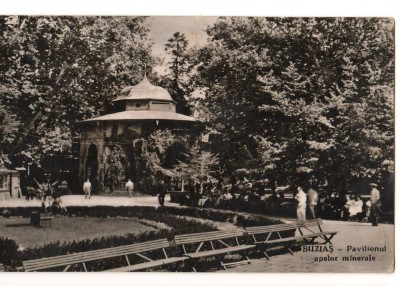 CPIB 15722 CARTE POSTALA - BUZIAS. PAVILIONUL APELOR MINERALE, RPR foto