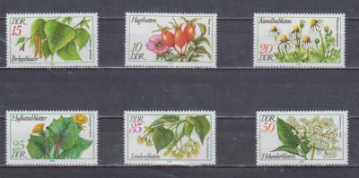 A12 S4 2 - Timbre foarte vechi - Fosta Germanie Democrata - DDR - flori foto