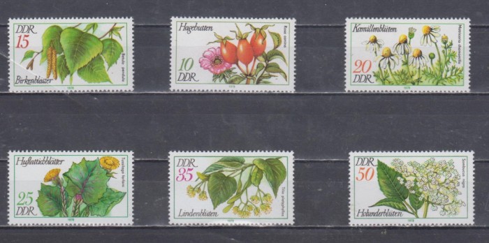 A12 S4 2 - Timbre foarte vechi - Fosta Germanie Democrata - DDR - flori
