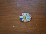 Vand insigna veteran de razboi, stare foarte buna!! pentru colectie !!