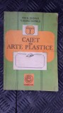 CAIET DE ARTE PLASTICE CLASA I - ION N. SUSALA TUDORA GAVRILA, Alte materii, Clasa 1