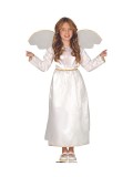 Costum inger rochita copii 3-4 ani