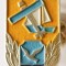 INSIGNA PENTRU ACTIVITATI APLICATIVE ALUMINIU VOPSIT SOIMII PATRIEI SOIM AL SOIMUL NAVOMODELISM ( CITITI DESCRIEREA )