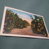 Cumpara ieftin CARTE POSTALA LOS ANGELES CALIFORNIA INTERBELICA CIRCULATA 1939