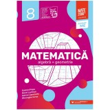 Mate standard. Cls. VIII. 2024-2025, Paralela 45