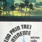 Razna prin trei continente Mircea Radu Iacoban
