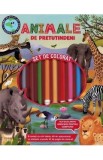 Animale de pretutindeni. Set de colorat