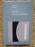 MARE INCOGNITUM DE DIMITRIE STELARU , 1967, Didactica si Pedagogica
