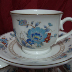 SET / CANA SI FARFURIE DIN PORTELAN JAPONEZ NORITAKE ,,BLEUFLEUR,,