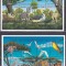 DB1 Fauna Ghana Lei Zebra Bivol Rinocer Pasari 2 MS MNH