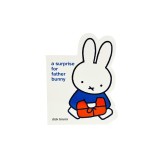 Miffy a Surprise for Father Bunny