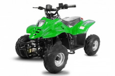 ATV electric ECO Bigfoot 800W 36V cu Baterie Detasabila Verde foto