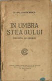 C9775N &Icirc;n umbra steagului, &icirc;nsemnări din răsboiu de lt Gh Costăchescu, 1921, București - LIPSĂ COPERTA FAȚĂ