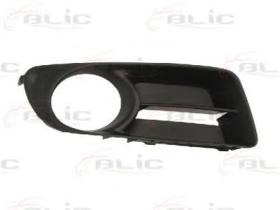 Grila ventilatie, bara protectie TOYOTA COROLLA Combi (E12J, E12T) (2001 - 2007) BLIC 6502-07-8116914P foto