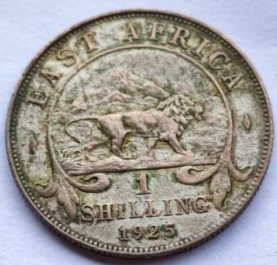 79. Moneda Africa de Est 1 shilling 1925 - Argint foto