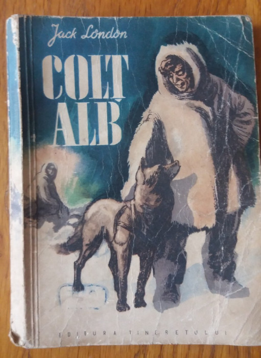 Colt alb, Jack London 1955