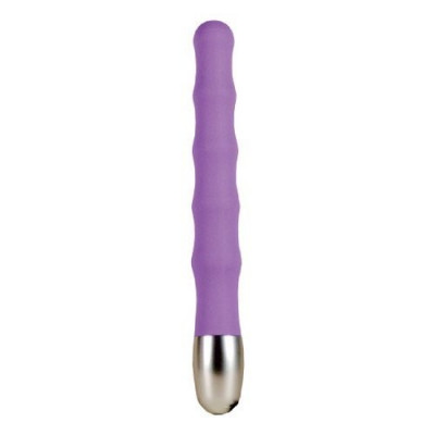 Vibrator Anal Silky Touch foto