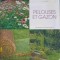PELOUSES ET GAZON-A. VAVASSORI-248344