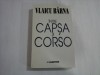 INTRE CAPSA SI CORSO - VLAICU BARNA
